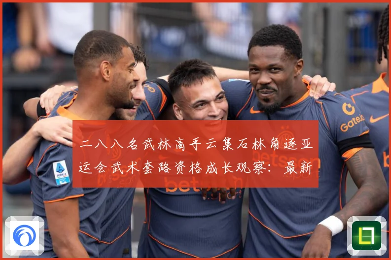 二八八名武林高手云集石林角逐亚运会武术套路资格成长观察：最新赛事动态与深度分析