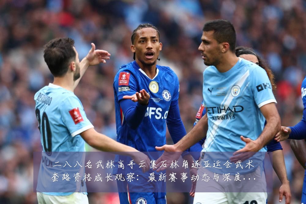 二八八名武林高手云集石林角逐亚运会武术套路资格成长观察：最新赛事动态与深度分析