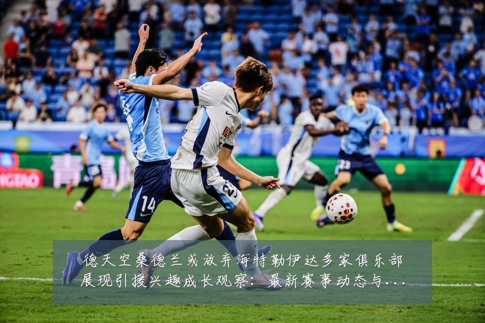 德天空桑德兰或放弃海特勒伊达多家俱乐部展现引援兴趣成长观察：最新赛事动态与深度分析